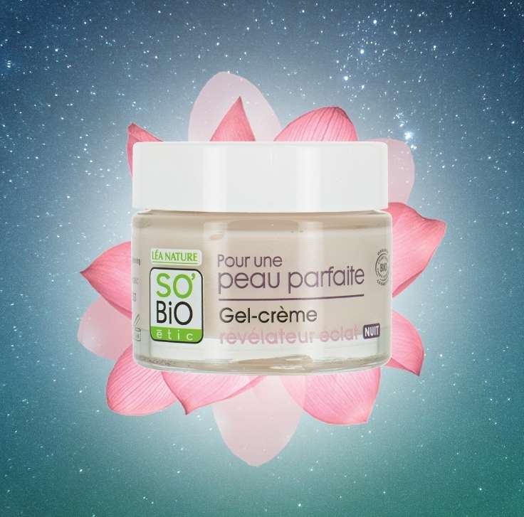 Tratamiento Facial Piel Perfecta Crema de Noche regeneradora con Loto Bio